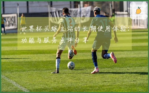 世界杯买球主站的长期使用体验：功能与服务点评分享