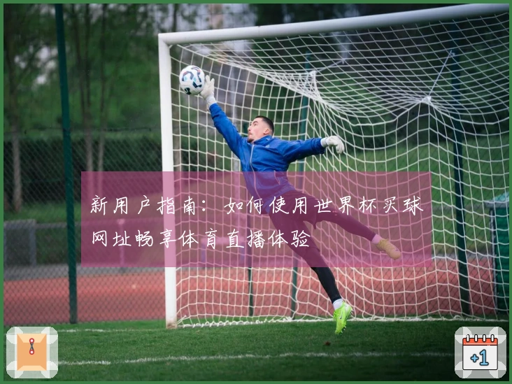 新用户指南：如何使用世界杯买球网址畅享体育直播体验