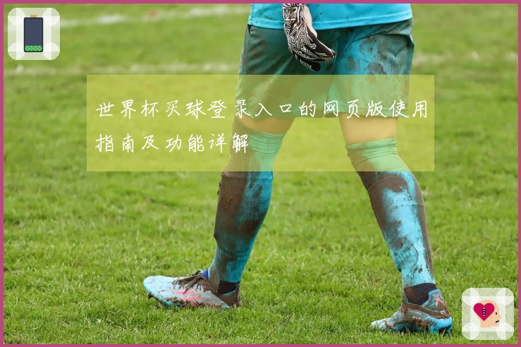 世界杯买球登录入口的网页版使用指南及功能详解