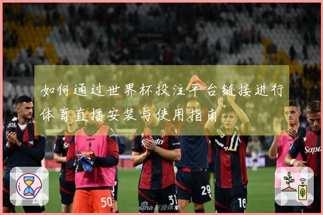 如何通过世界杯投注平台链接进行体育直播安装与使用指南