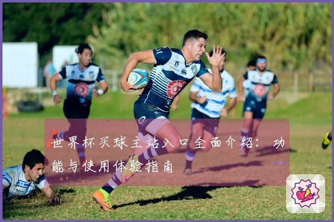 世界杯买球主站入口全面介绍：功能与使用体验指南