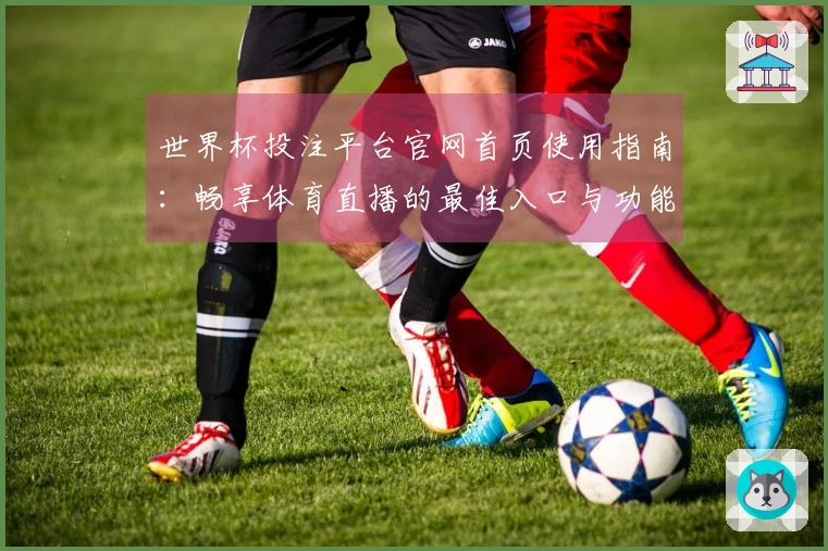 世界杯投注平台官网首页使用指南：畅享体育直播的最佳入口与功能体验