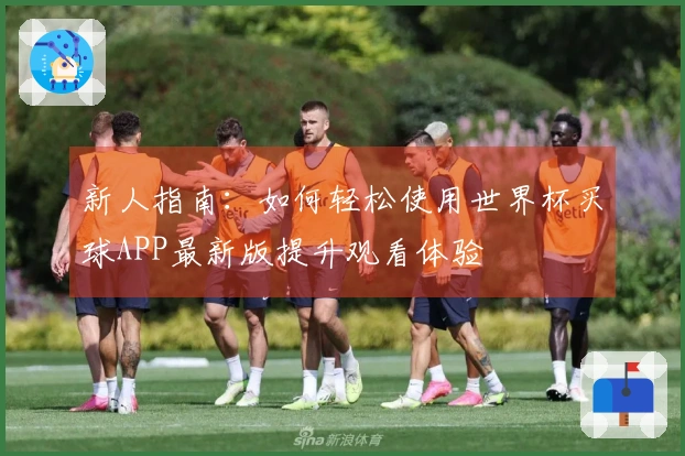 新人指南：如何轻松使用世界杯买球APP最新版提升观看体验