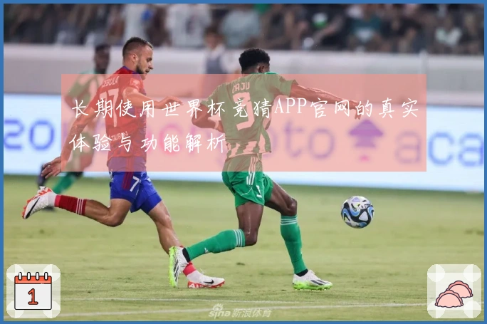 长期使用世界杯竞猜APP官网的真实体验与功能解析