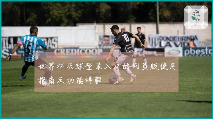 世界杯买球登录入口的网页版使用指南及功能详解
