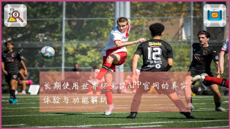 长期使用世界杯竞猜APP官网的真实体验与功能解析